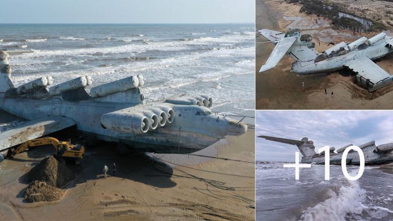 Abandoned Lun-class Ekranoplan: A Soviet Engineering Marvel Left to Rust