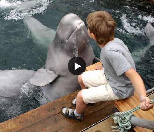 Joyful Kids Engaging in Aquarium Adventures