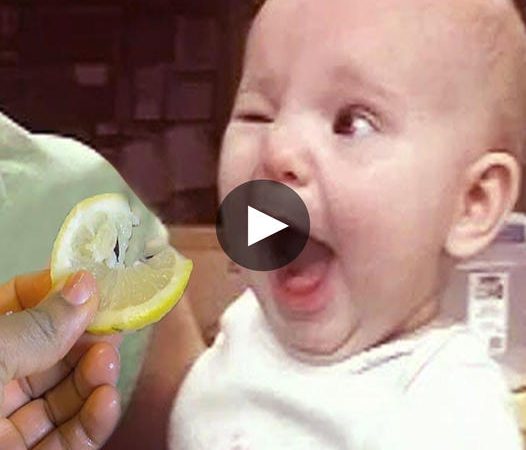 Taste of Tart: Children’s Delightful First Encounter with Lemons