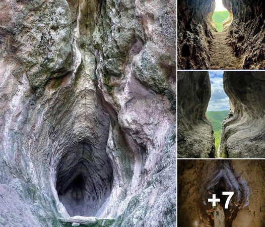 Unveiling the Enigma: Exploring the Millenary Cave of the Wombs