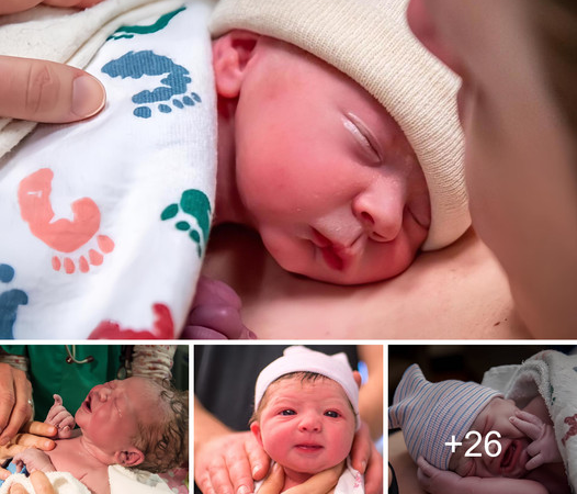 The Captivating Charm of Newborns Elicits a Spectrum of Emotions in Millions