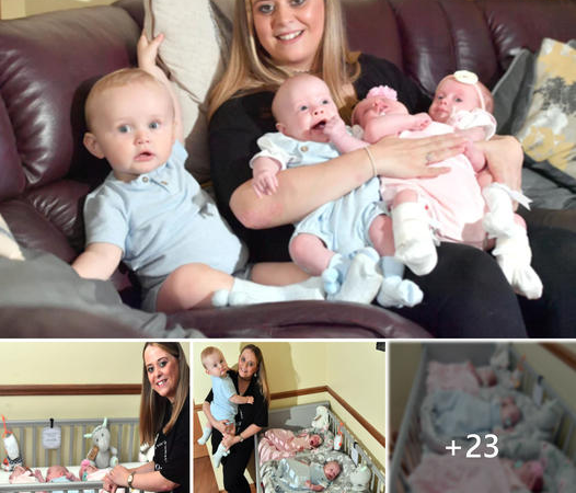 The Miracle of Parenthood: From One to Four in Just a Few Months