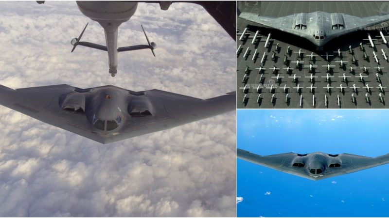 The B-2: The Sole Operational Stealth Aircraft and the Apex of Advancement