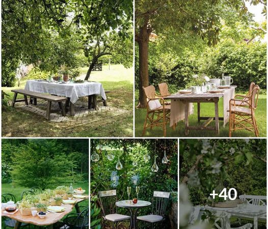 Enchanting and Inviting Garden Dining Spaces: A Delightful Experience