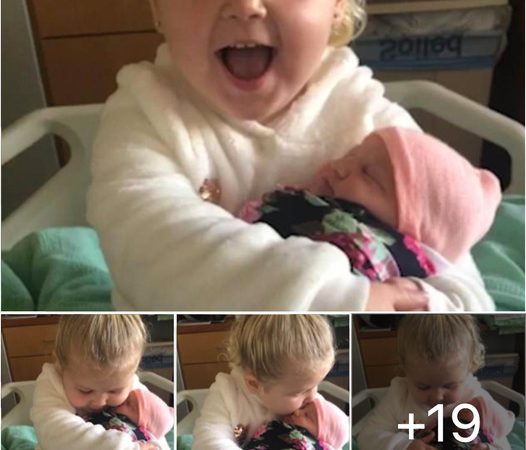 A Heartwarming Encounter: 3-Year-Old Molly Meets Her Baby Sister for the First Time