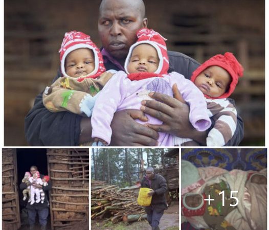 The Challenging Journey of a Single Father Raising Three Kids Solo