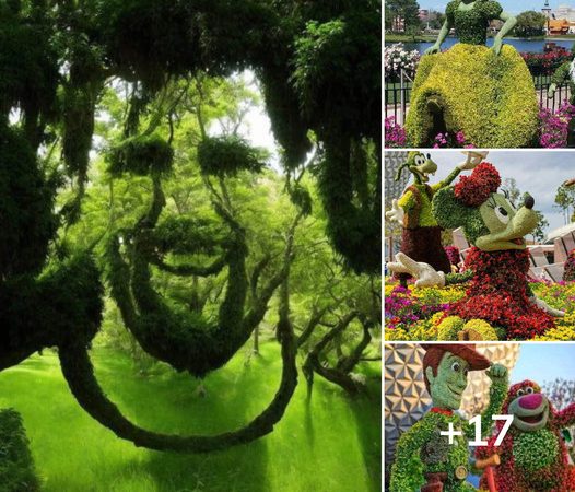 An Enchanted Oasis: The Magical Garden That Mesmerizes Travelers with Its Mystical Allure