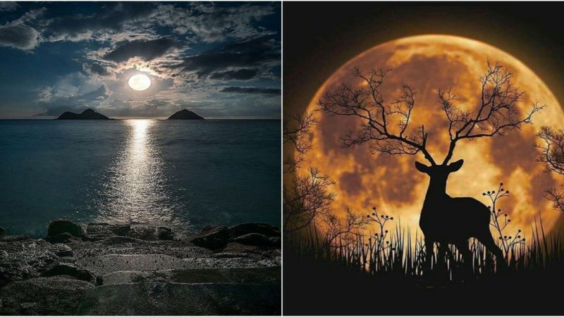 Super Stag Moon Wows Astronomy Enthusiasts with Stunning Images