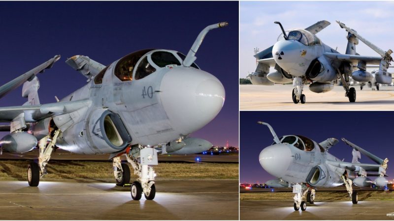 Unparalleled on Earth: The EA-6B Prowler Aircraft