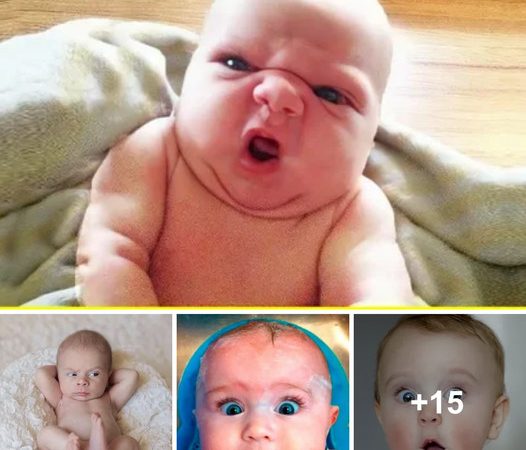 Adorable Babies Unleashing their Adorable Emotions in Hilarious Moments