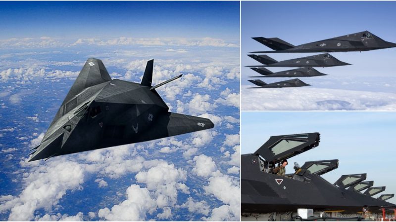 Lockheed F-117 Nighthawks Join the 144th Fighter Wing of the US Air Force for Training