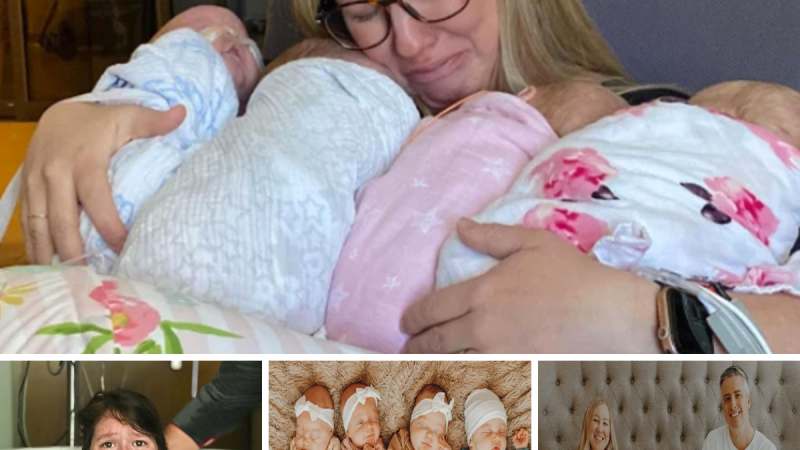 Unforgettable Joy: A Mother’s Triumph Over Infertility and Her Four Little Angels