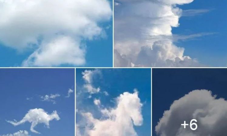 Unveiling Nature’s Magic: Recognizing Animal Shapes Among the Clouds