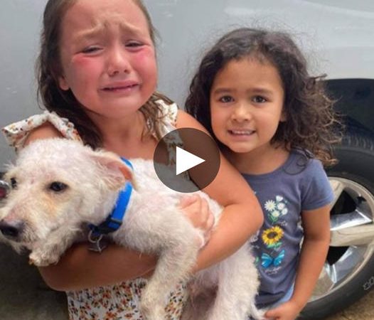 Unbreakable Bond: Uncontrollable Tears of Joy as a Girl Reunites with Her Lost Dog.