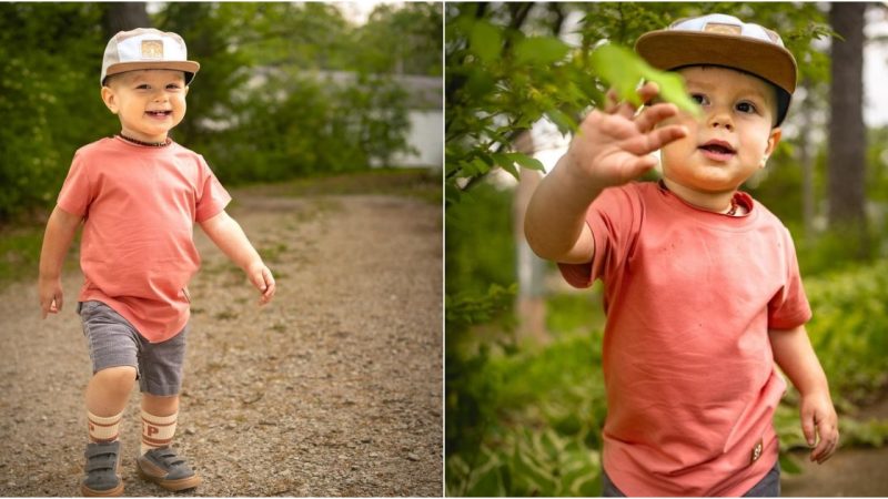 The Enchanting Adventure of a Cute Little Boy Walking into the Forest