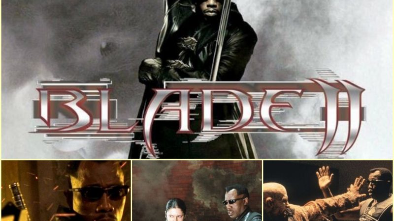 “Blade II,” directed by Guillermo del Toro and released in 2002, is a standout entry in the superhero genre, building upon the foundation laid by its predecessor